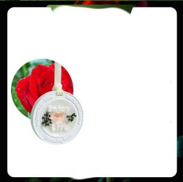 Dried Flower Plaster Wax Tablets Pendant Gift (Option: Round Pink Floral)