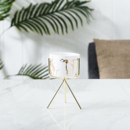 Marble Gold Pattern Succulent Iron Art Ceramic Pot Pen Holder Hydroponic Container (Option: Matte white trumpet-Gold shelf)