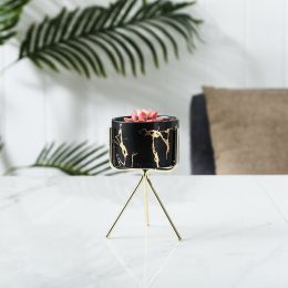 Marble Gold Pattern Succulent Iron Art Ceramic Pot Pen Holder Hydroponic Container (Option: Black trumpet-Gold shelf)